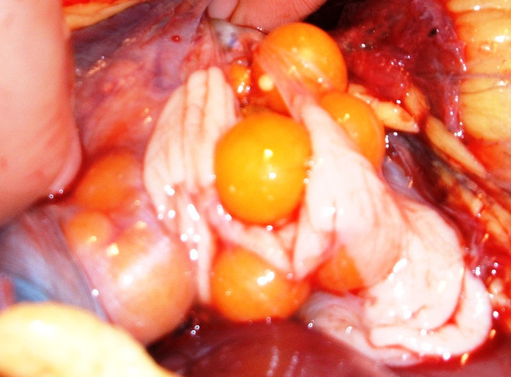 201109_30_99_e0204899_1302967