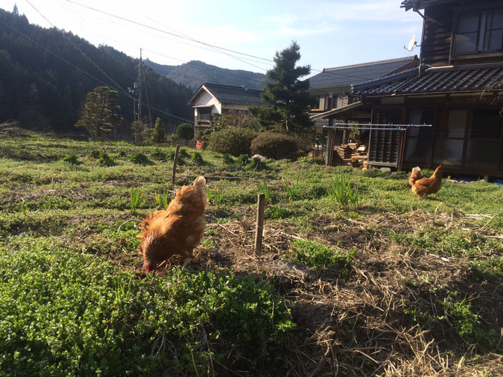 011c88856c15495a1a73c330a68b8ba53e4