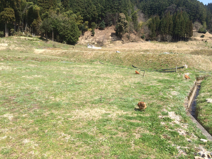 0125dd3722ca6f8277174c09d3bfe718064