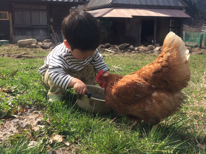 01df1428168b8fa9090fd681d64716a4886